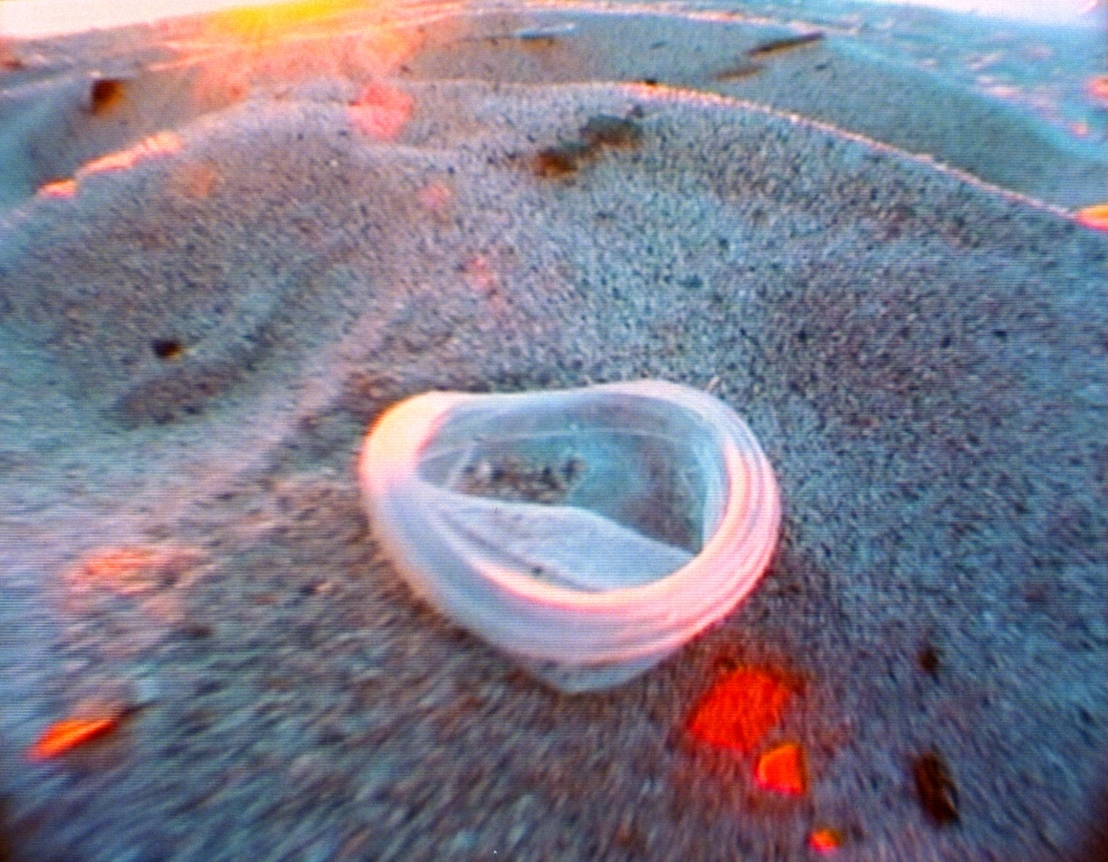 Pipilotti Rist , Apfelbaum unschuldig auf dem Diamantenhügel (Apple Tree Innocent On Diamond Hill), 2003