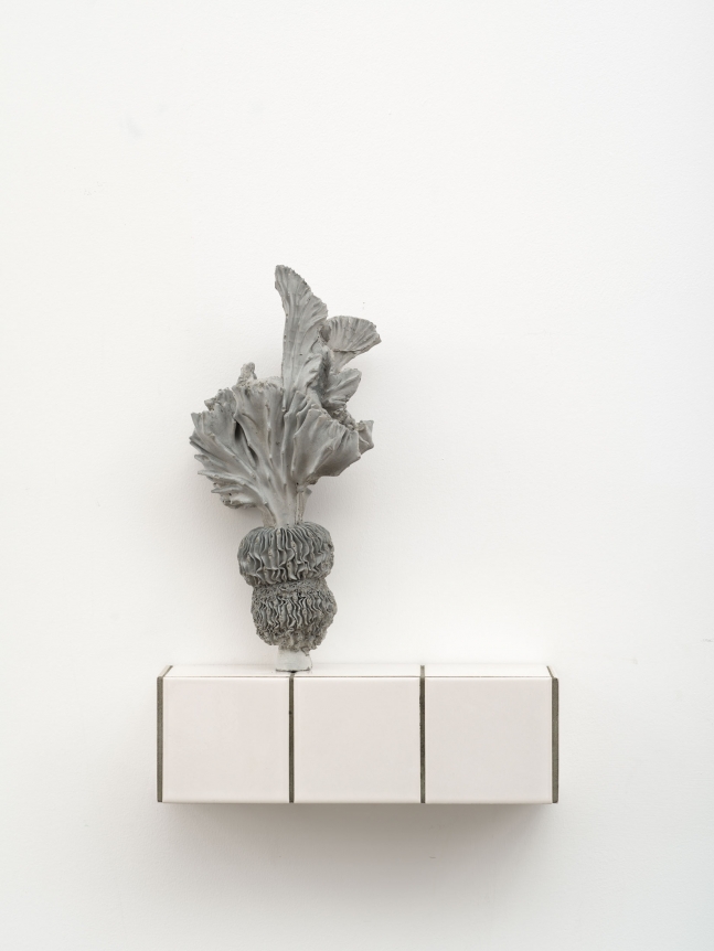 Zhang Ruyi Individual Plant—17, 2018