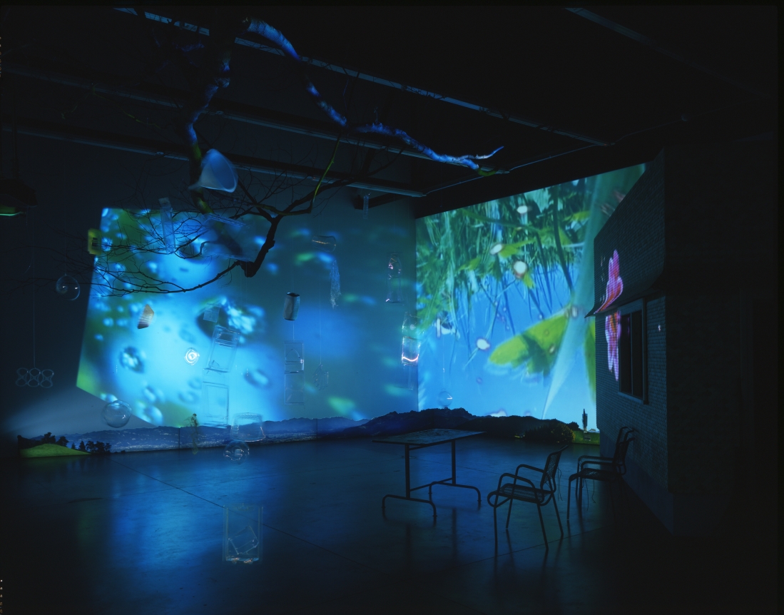 Pipilotti Rist Herbstzeitlose (Saffron Flower or Fall Time Less), 2004