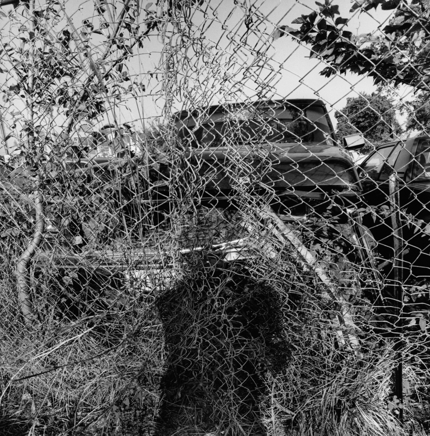 Lee Friedlander, Suffern, New York, 1995