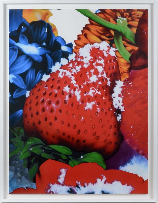 Marc Quinn, Portraits of Landscapes 2, Pigment Print