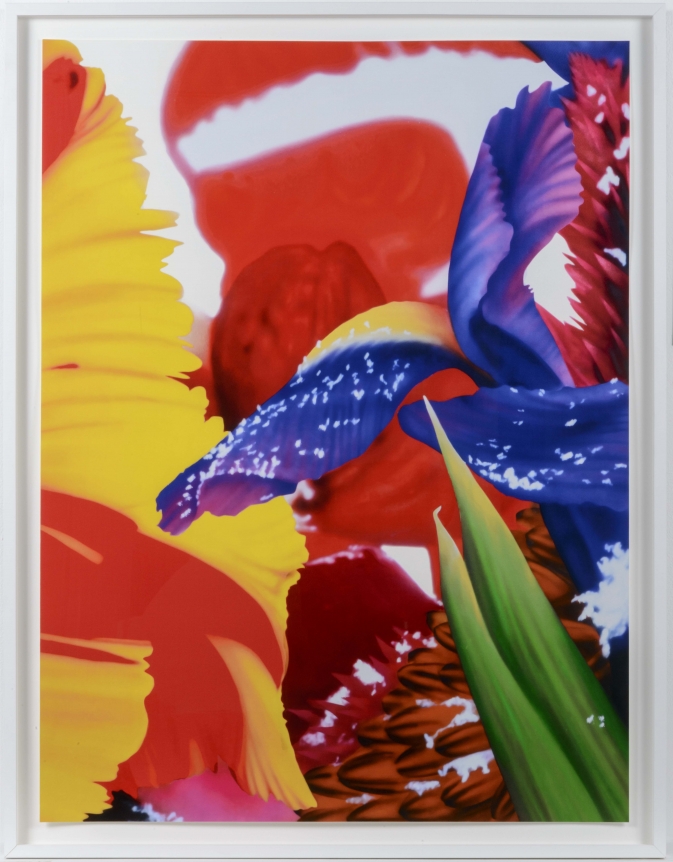 Marc Quinn, Portraits of Landscapes 4, Pigment Print