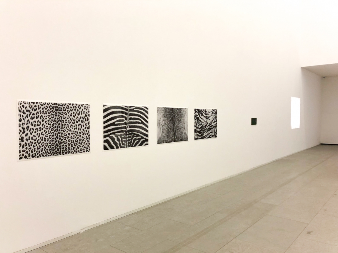Juliao Sarmento, CIAJG, Christopher Grimes Gallery