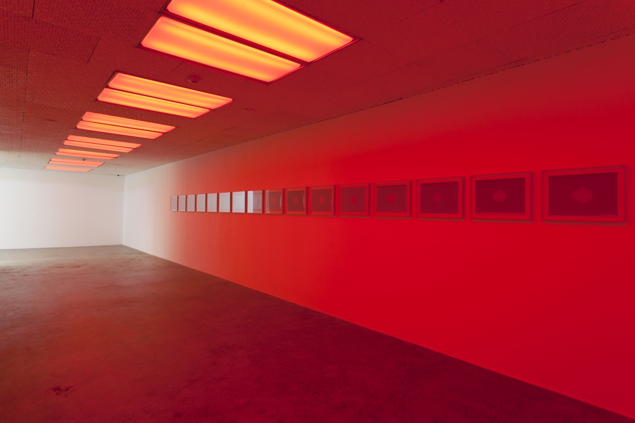 Dane Mitchell, Artspace New Zealand