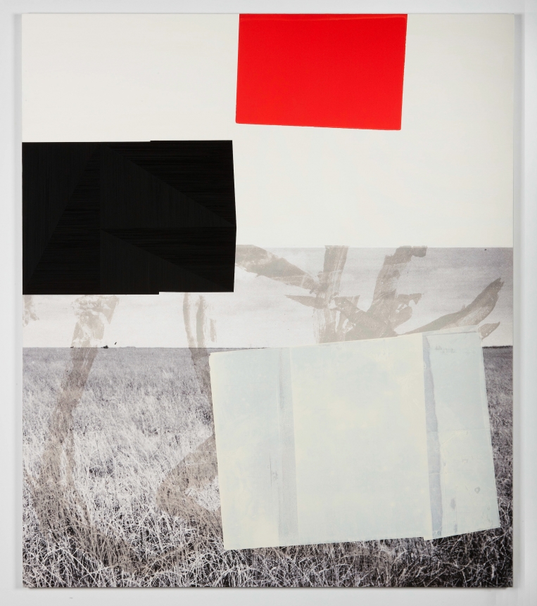 Screen (prairie), Kevin Appel, Christopher Grimes Gallery