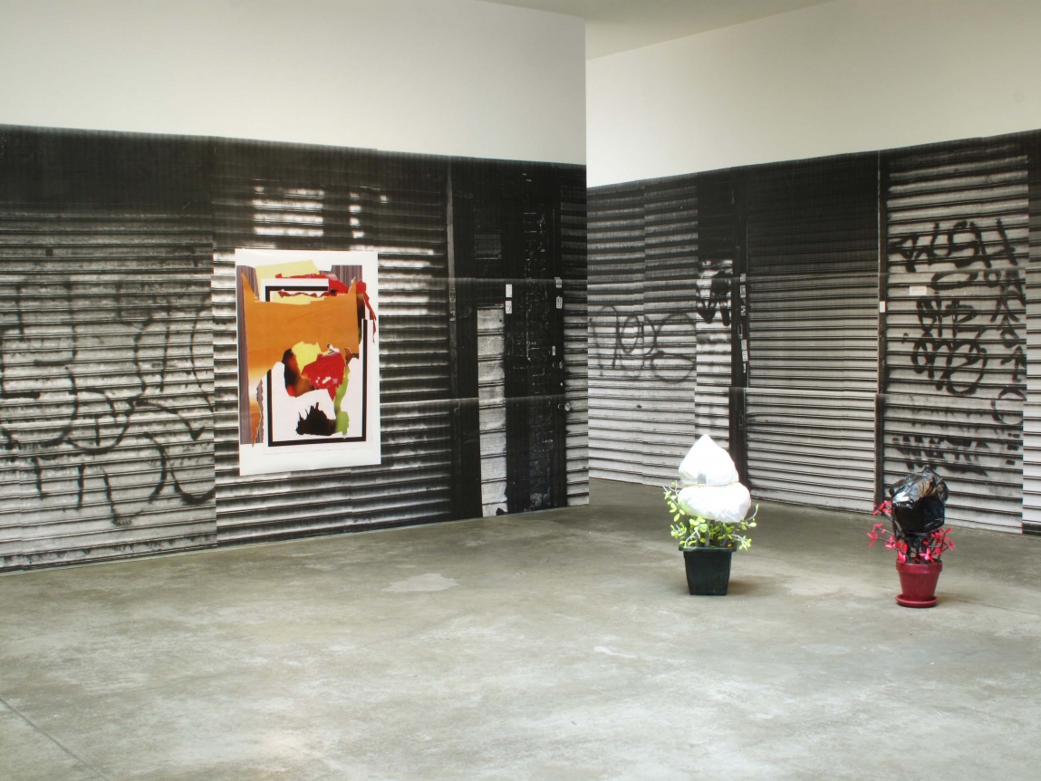 Ester Partegàs, Ester Partegas, Christopher Grimes Gallery
