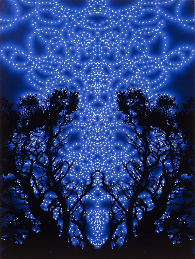 Sharon Ellis, Christopher Grimes Gallery