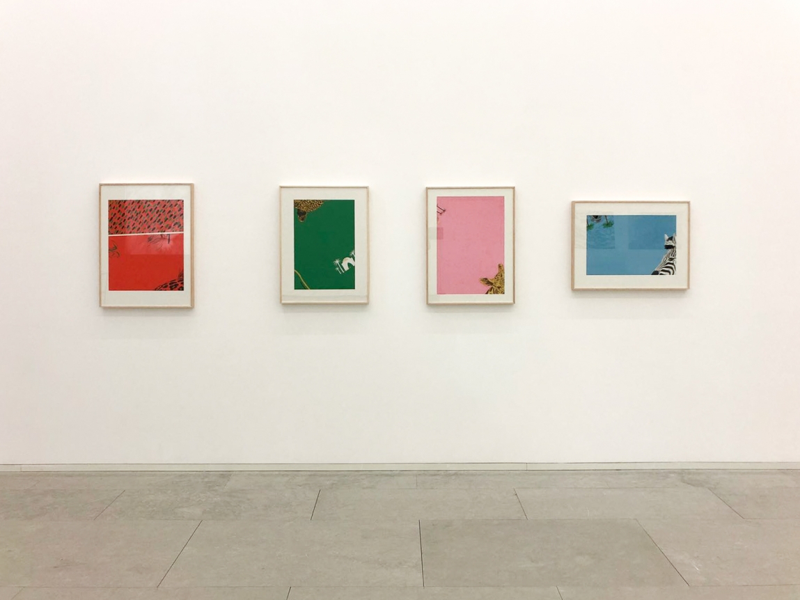 Juliao Sarmento, CIAJG, Christopher Grimes Gallery