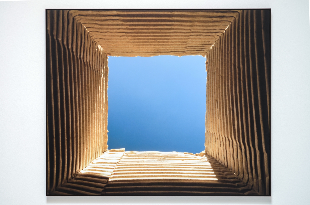 Lucia Koch, Christopher Grimes Gallery