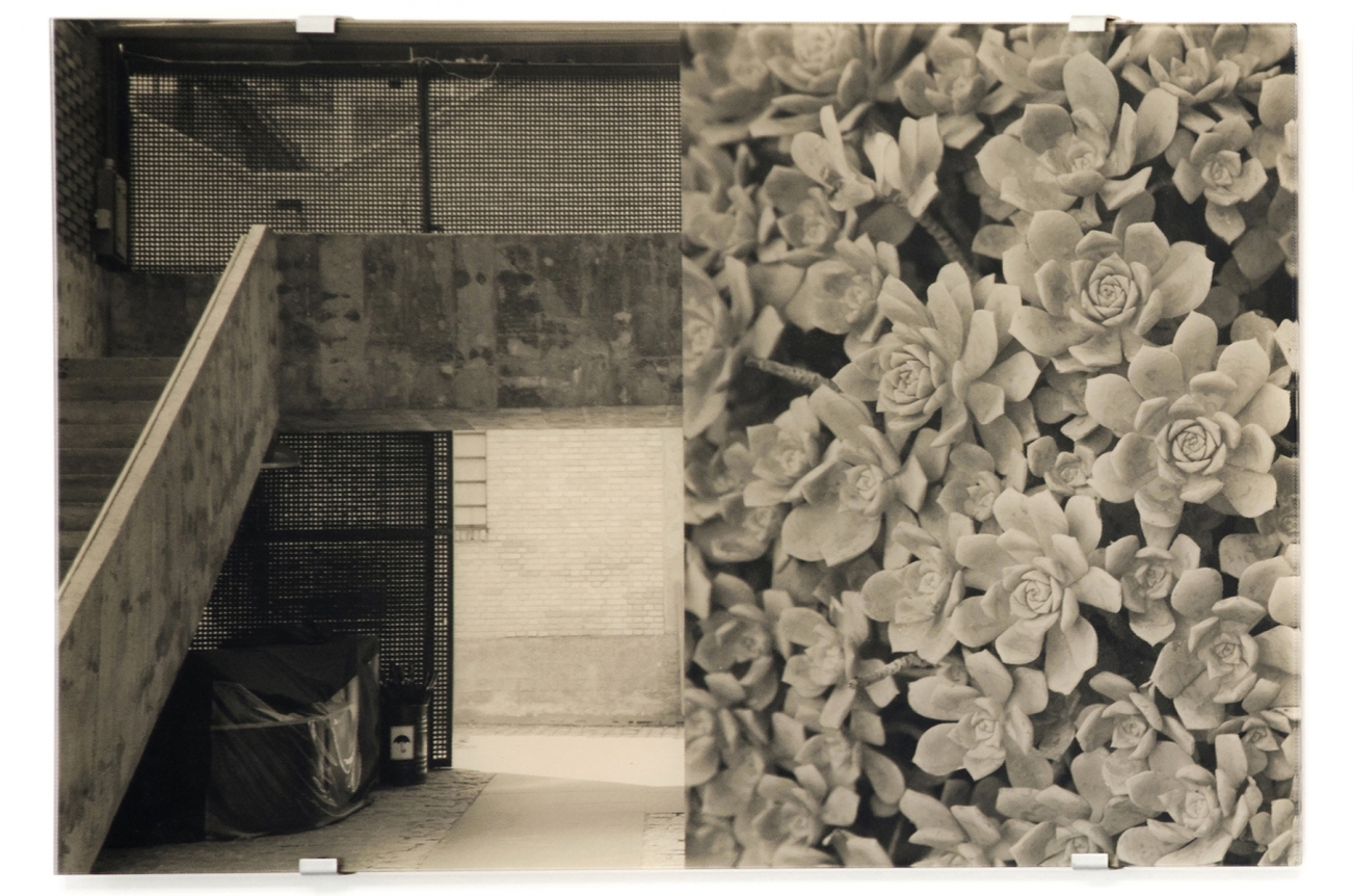 Veronika Kellndorfer, Christopher Grimes Gallery