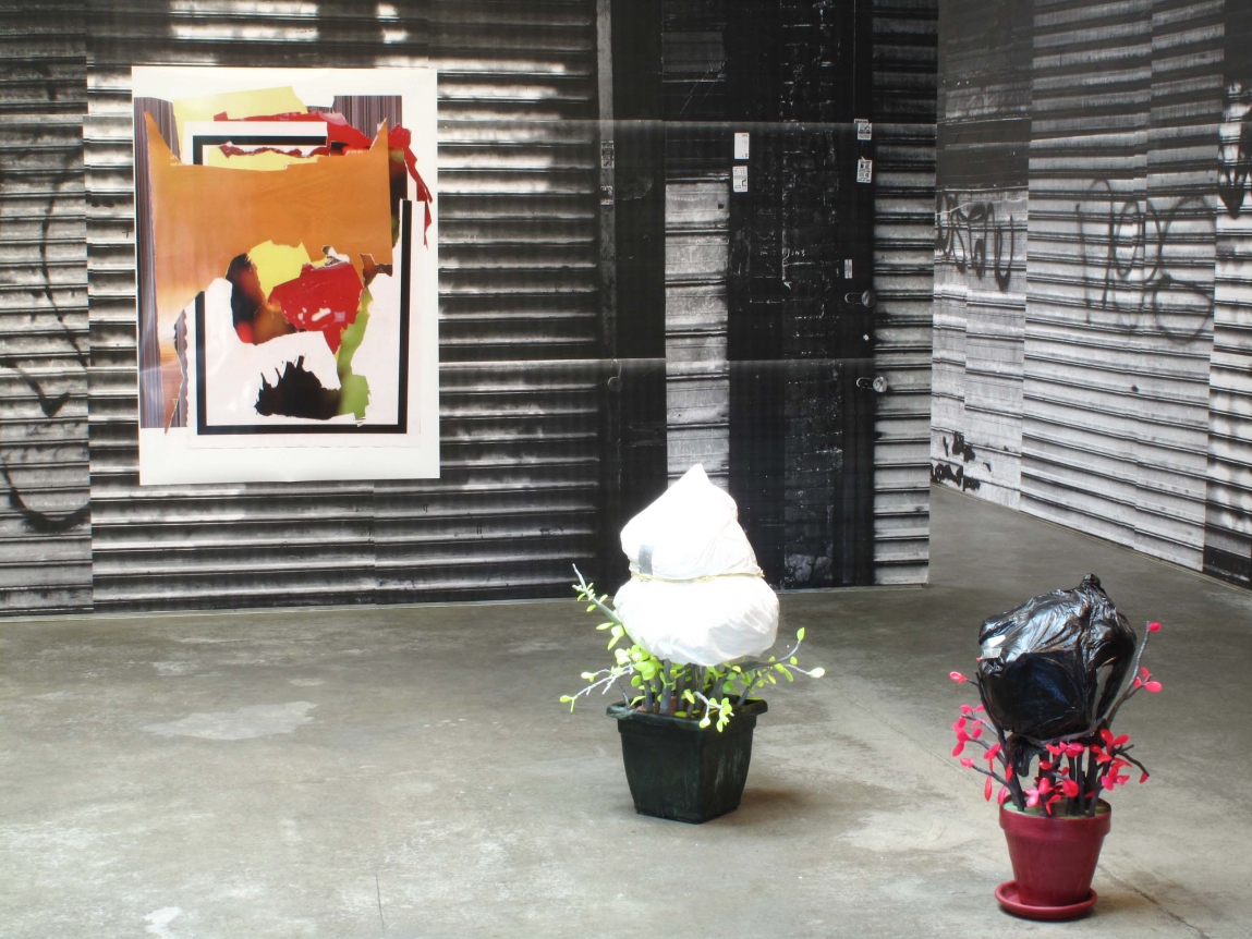 Ester Partegàs, Ester Partegas, Christopher Grimes Gallery