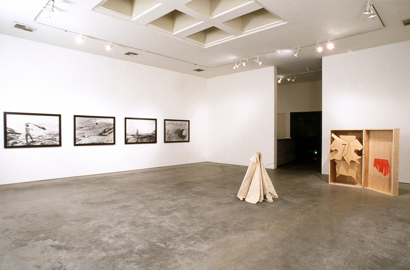 Amnesia, Christopher Grimes Gallery