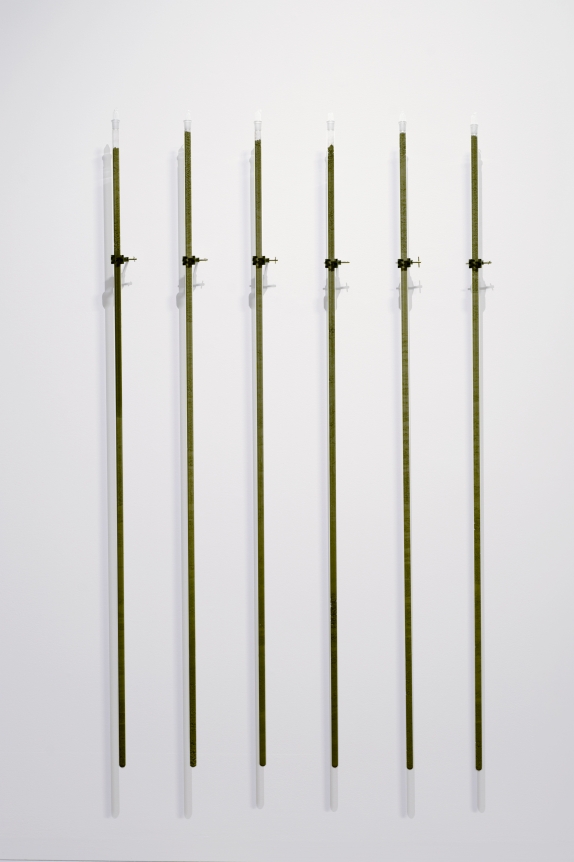 Dane Mitchell, Dunedin Public Art Gallery