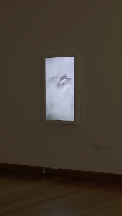 Gianfranco Foschino, LOCUS, MAVI, 2016