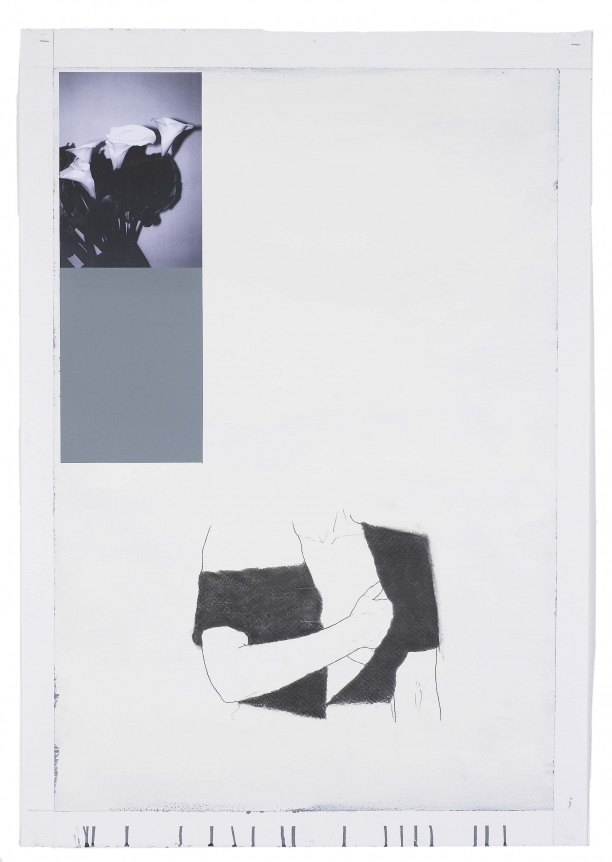 Julião Sarmento, Juliao Sarmento, Christopher Grimes Gallery