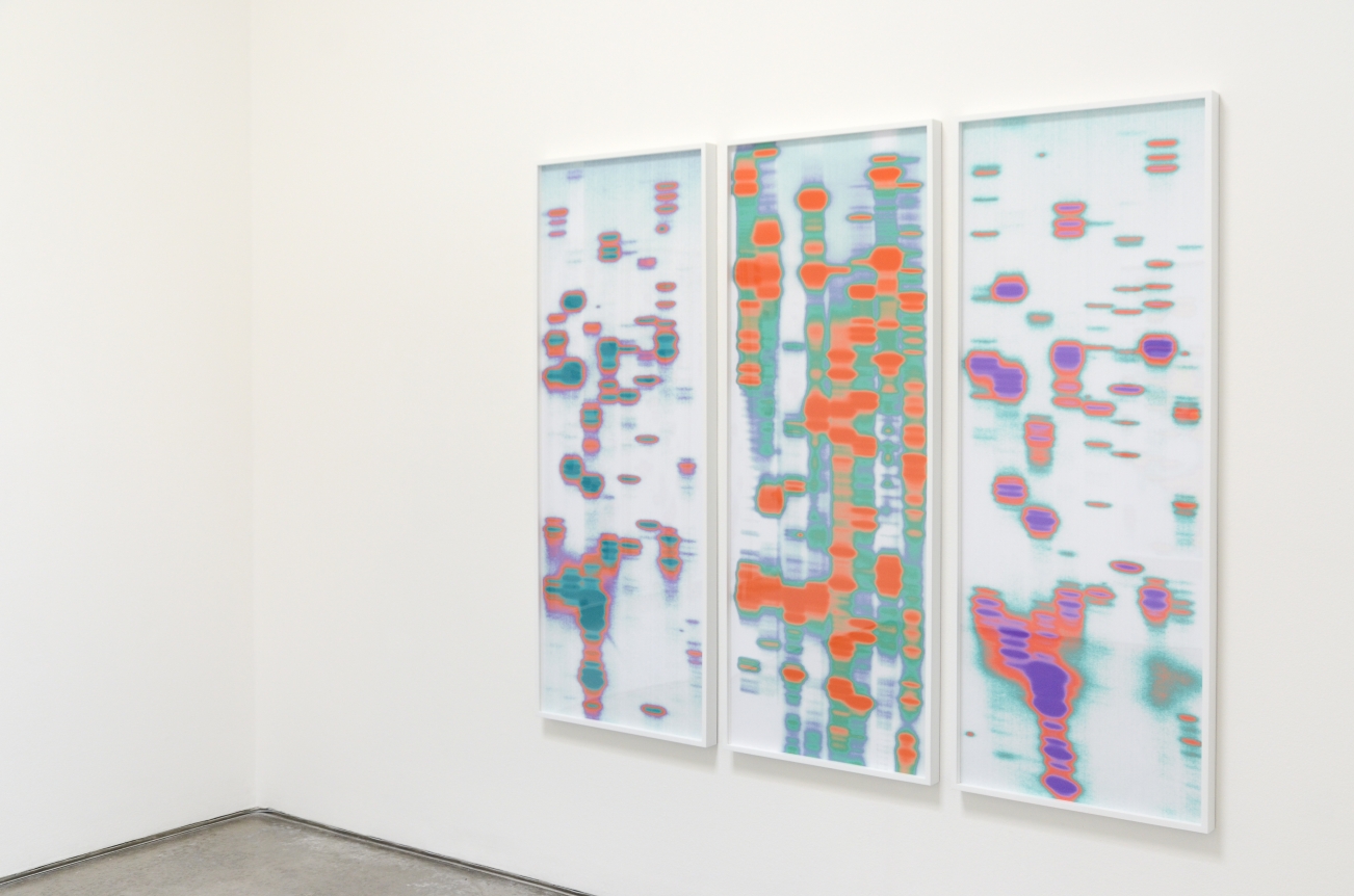 Iñigo Manglano-Ovalle, Christopher Grimes Gallery