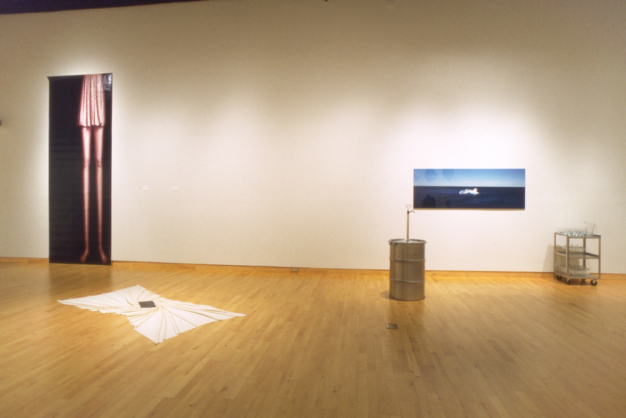 Amnesia, USF Contemporary Art Museum