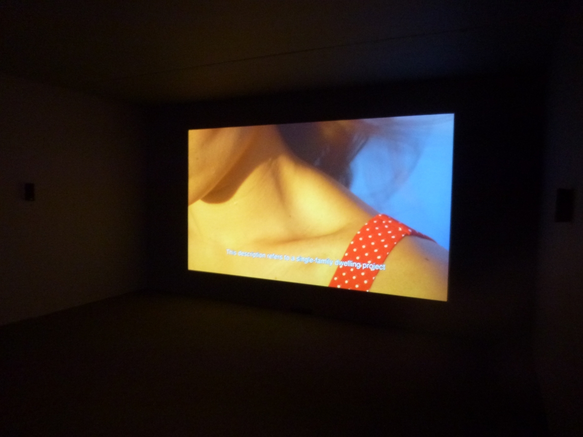 Julião Sarmento, An Extreme Form of Privacy, Museo de Arte Carrillo Gil