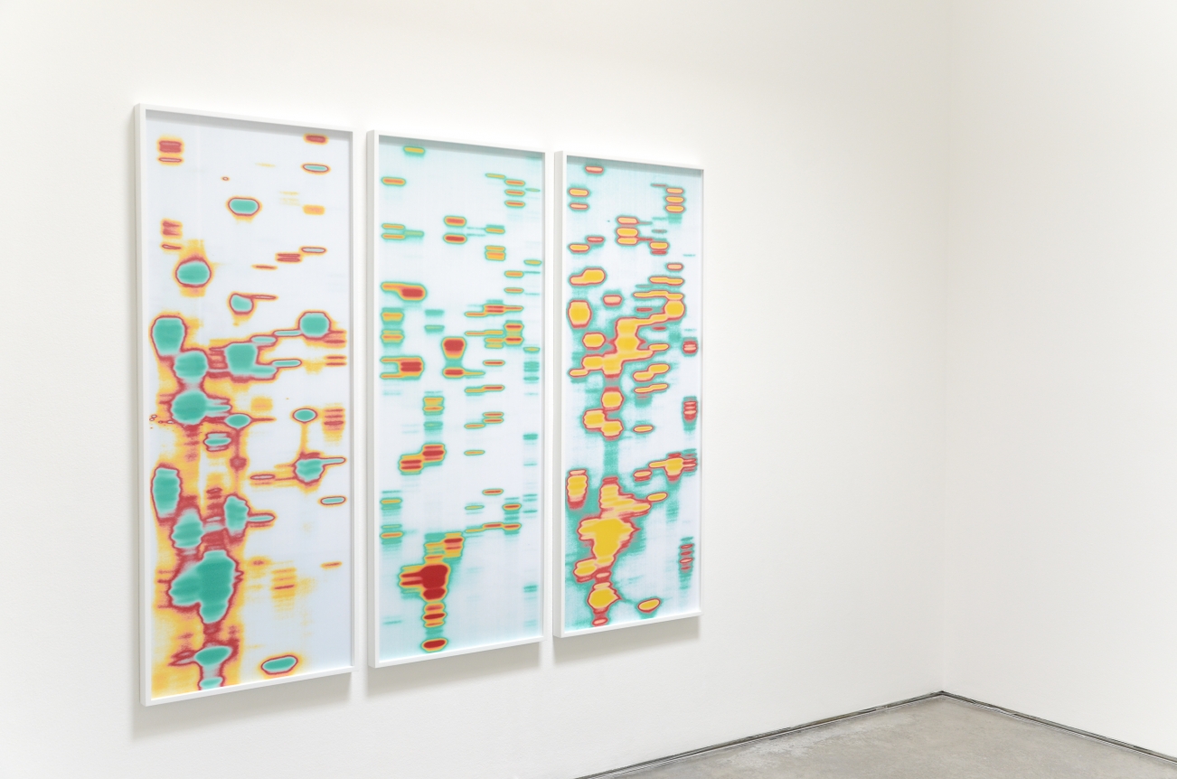 Iñigo Manglano-Ovalle, Christopher Grimes Gallery