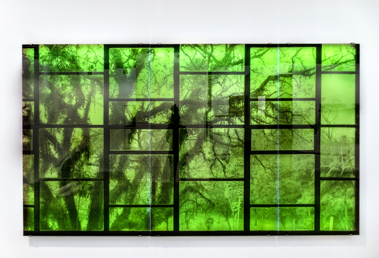 Oscar Niemeyer with Tree, Veronika Kellndorfer, Christopher Grimes Gallery