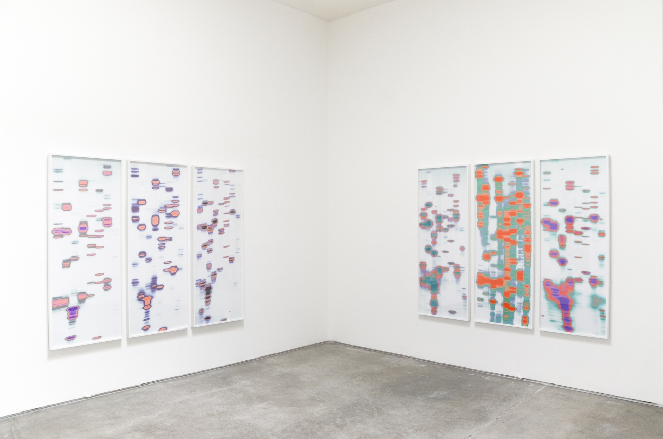 Iñigo Manglano-Ovalle, Christopher Grimes Gallery