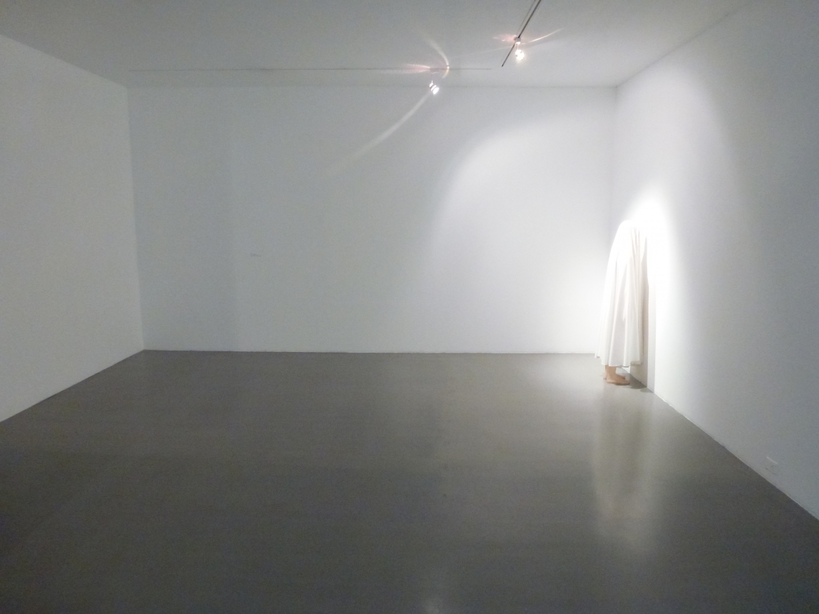 Julião Sarmento, An Extreme Form of Privacy, Museo de Arte Carrillo Gil