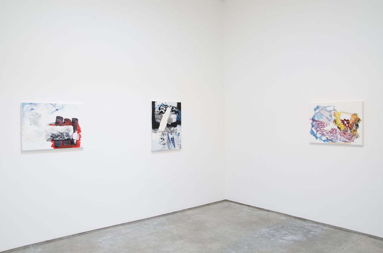 Pia Fries, Christopher Grimes Gallery