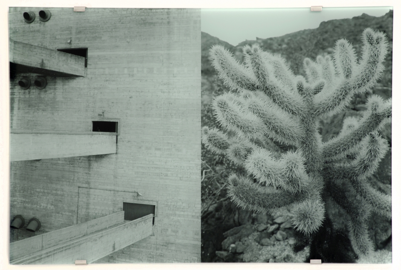 Veronika Kellndorfer, Christopher Grimes Gallery