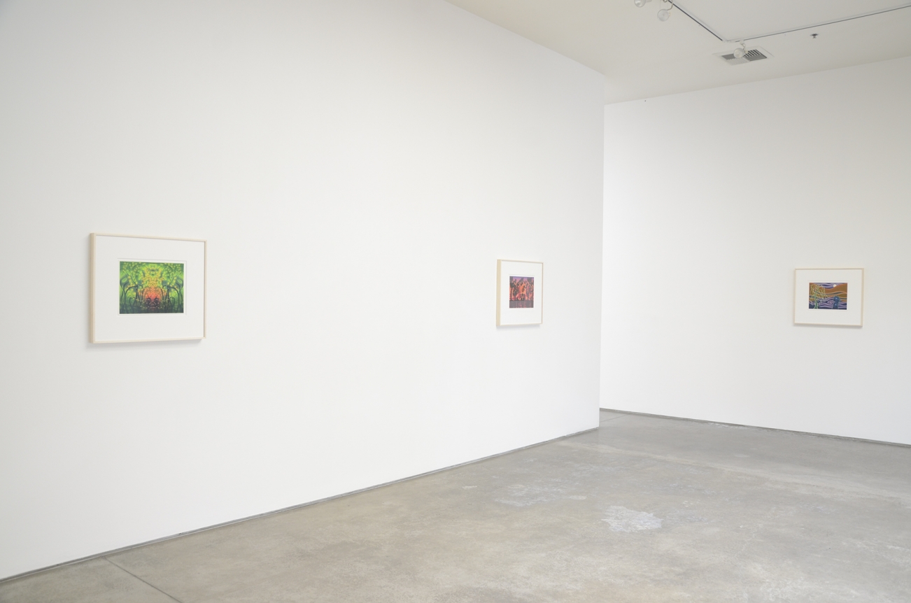 Sharon Ellis, Christopher Grimes Gallery