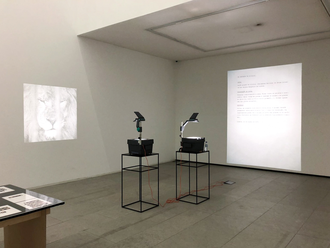 Juliao Sarmento, CIAJG, Christopher Grimes Gallery