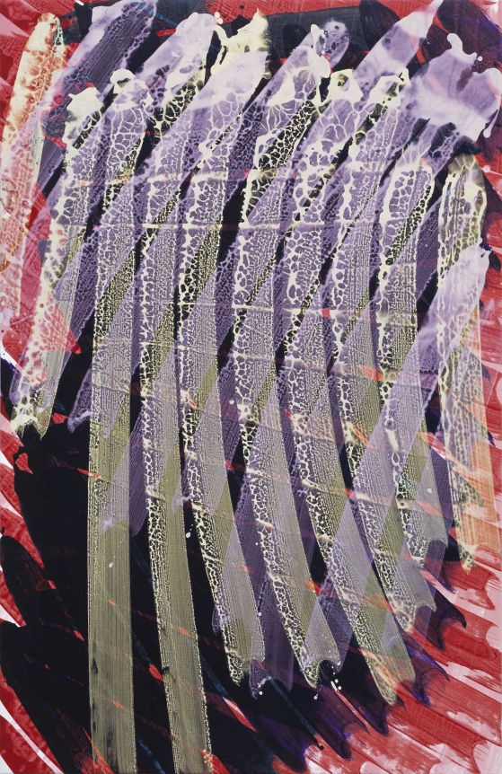 Katharina Grosse, Christopher Grimes Gallery
