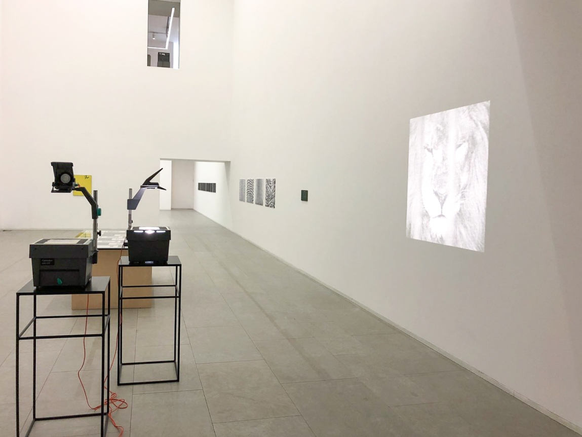 Juliao Sarmento, CIAJG, Christopher Grimes Gallery