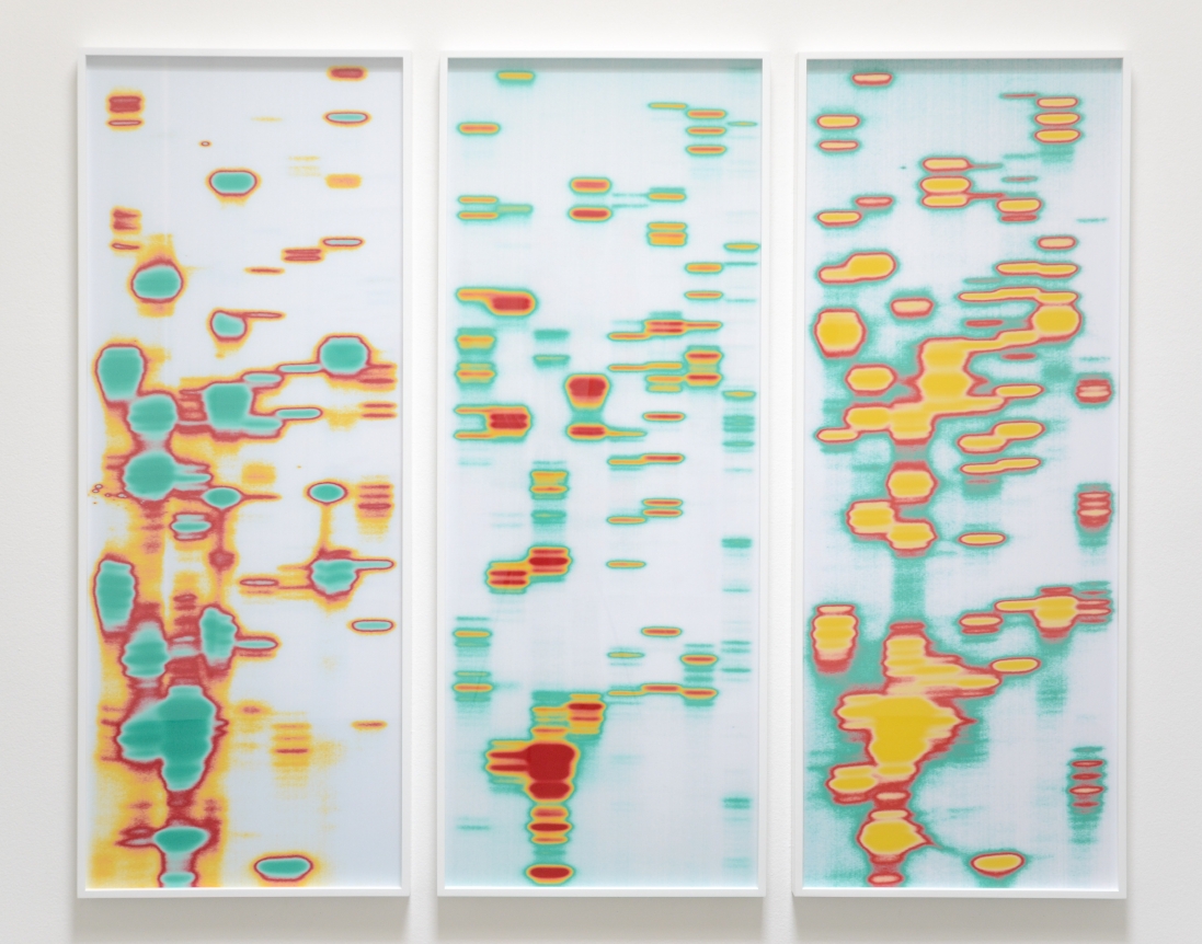 Iñigo Manglano-Ovalle, Christopher Grimes Gallery