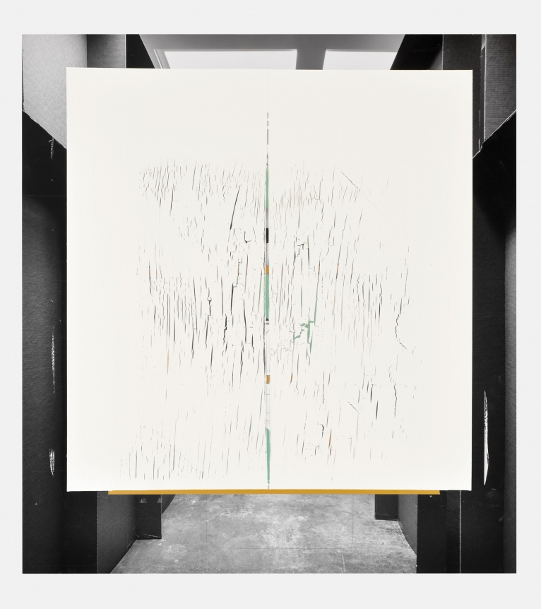Carlos Bunga, Christopher Grimes Gallery