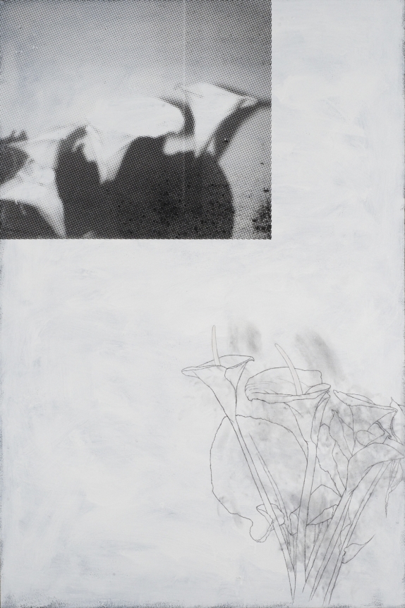 Julião Sarmento, Christopher Grimes Gallery