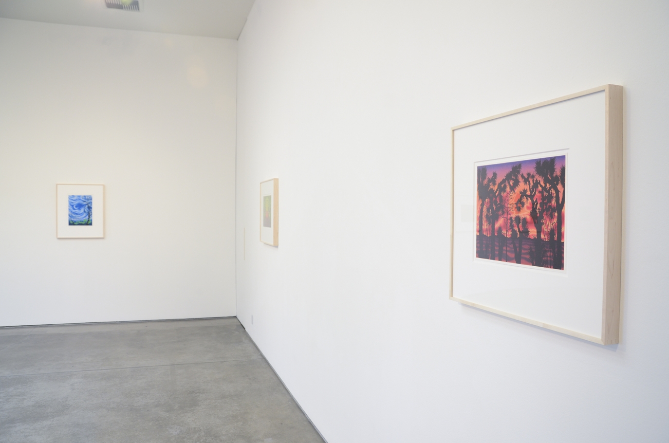 Sharon Ellis, Christopher Grimes Gallery