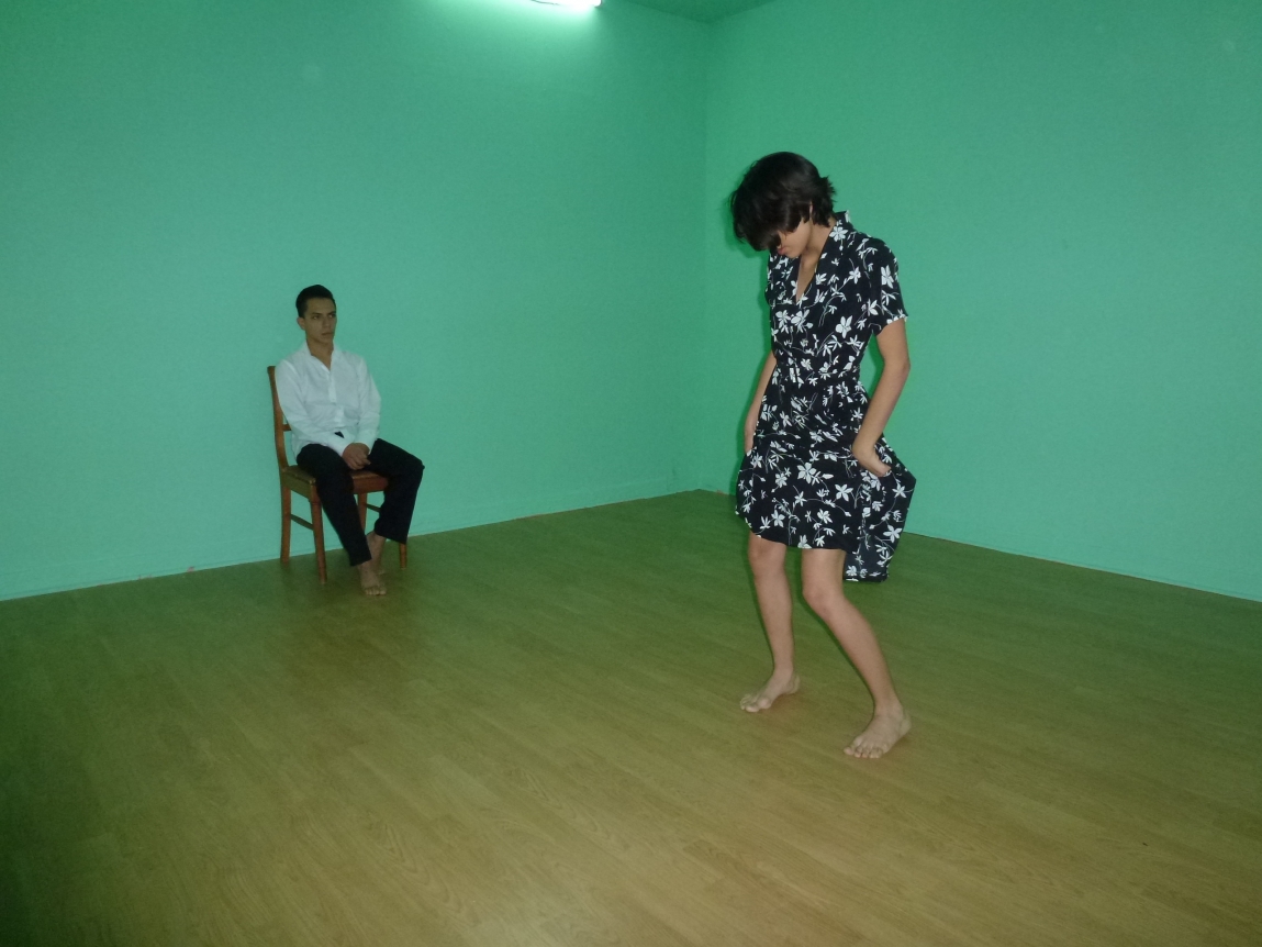 Julião Sarmento, An Extreme Form of Privacy, Museo de Arte Carrillo Gil