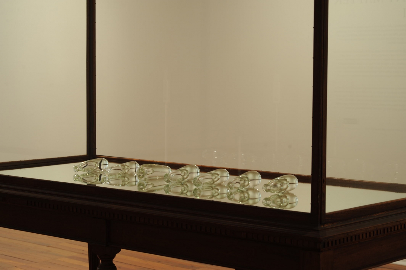 Dane Mitchell, Dunedin Public Art Gallery