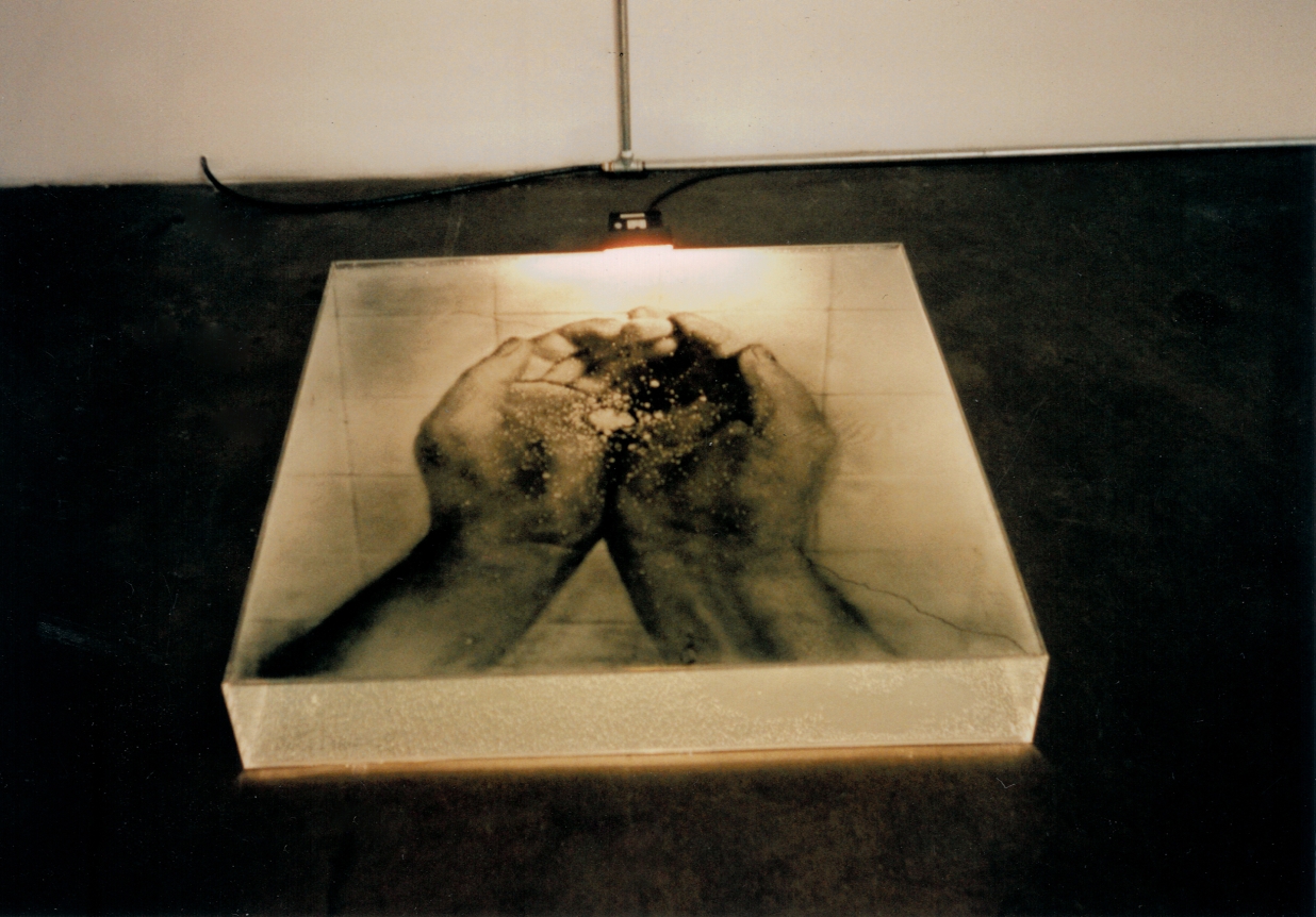 Amnesia, Christopher Grimes Gallery