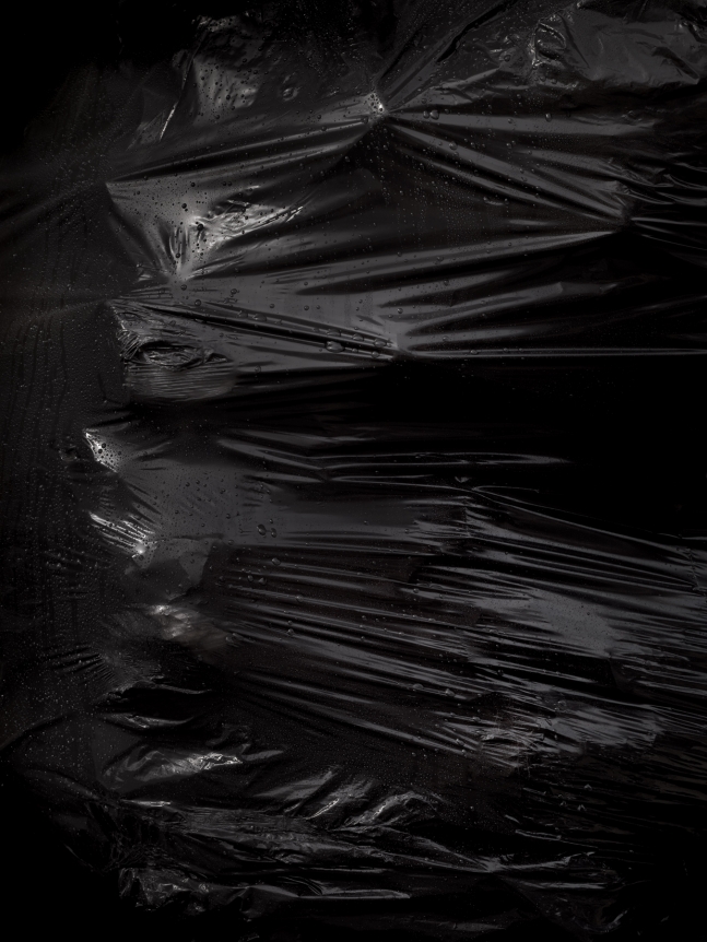 Ester Partegás, Christoper Grimes Gallery