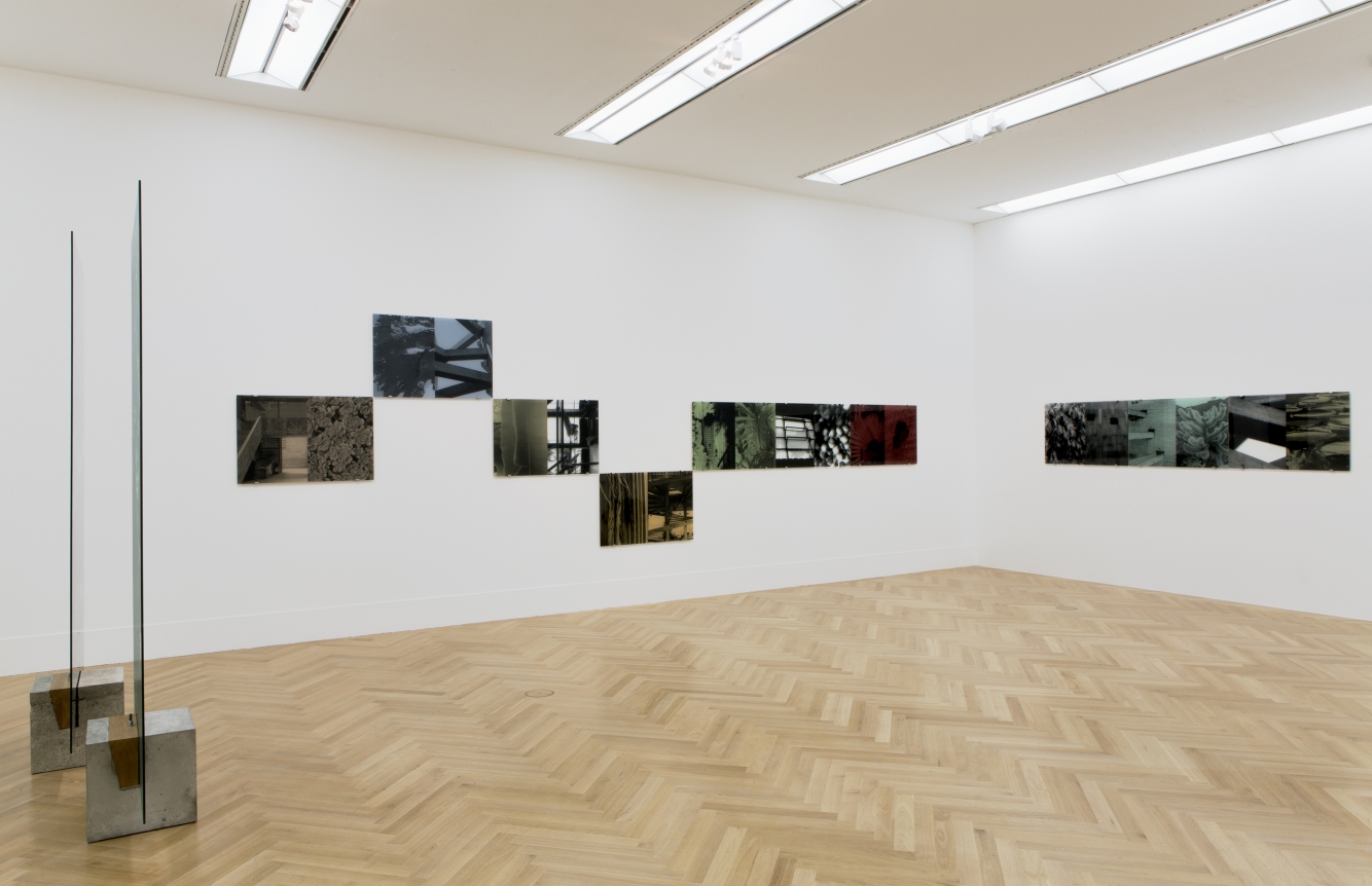 Veronika Kellndorfer, Bundeskunsthalle Bonn