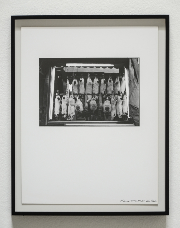Allan Sekula, Christopher Grimes Gallery