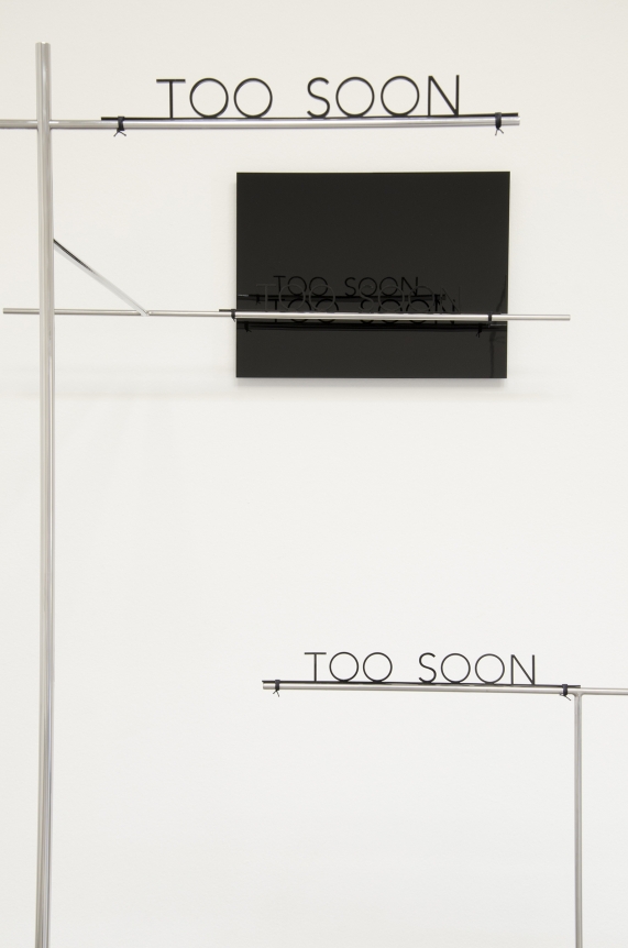Too Soon, Waltercio Caldas, Christopher Grimes Gallery