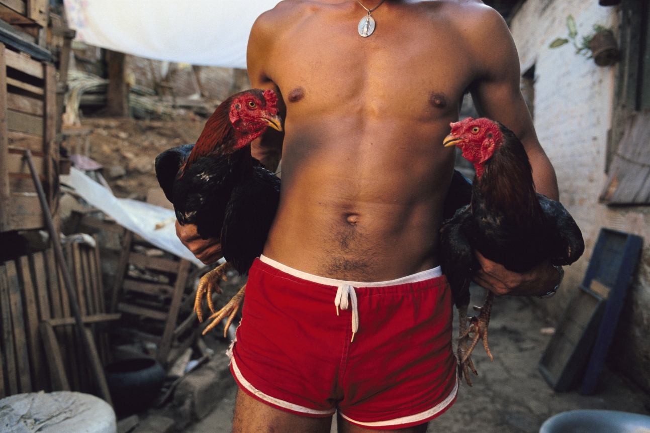 Miguel Rio Branco, Christopher Grimes Gallery