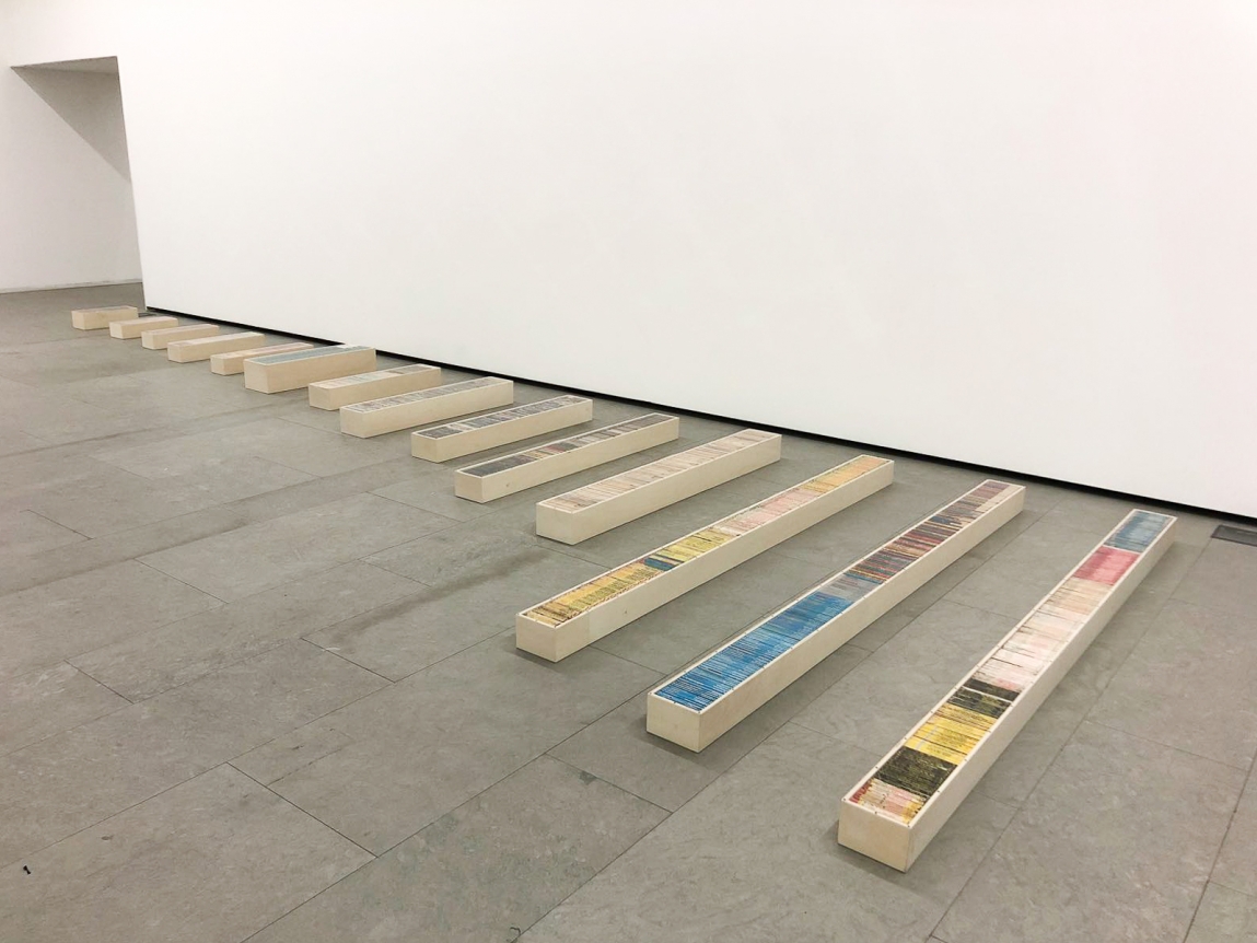 Juliao Sarmento, CIAJG, Christopher Grimes Gallery