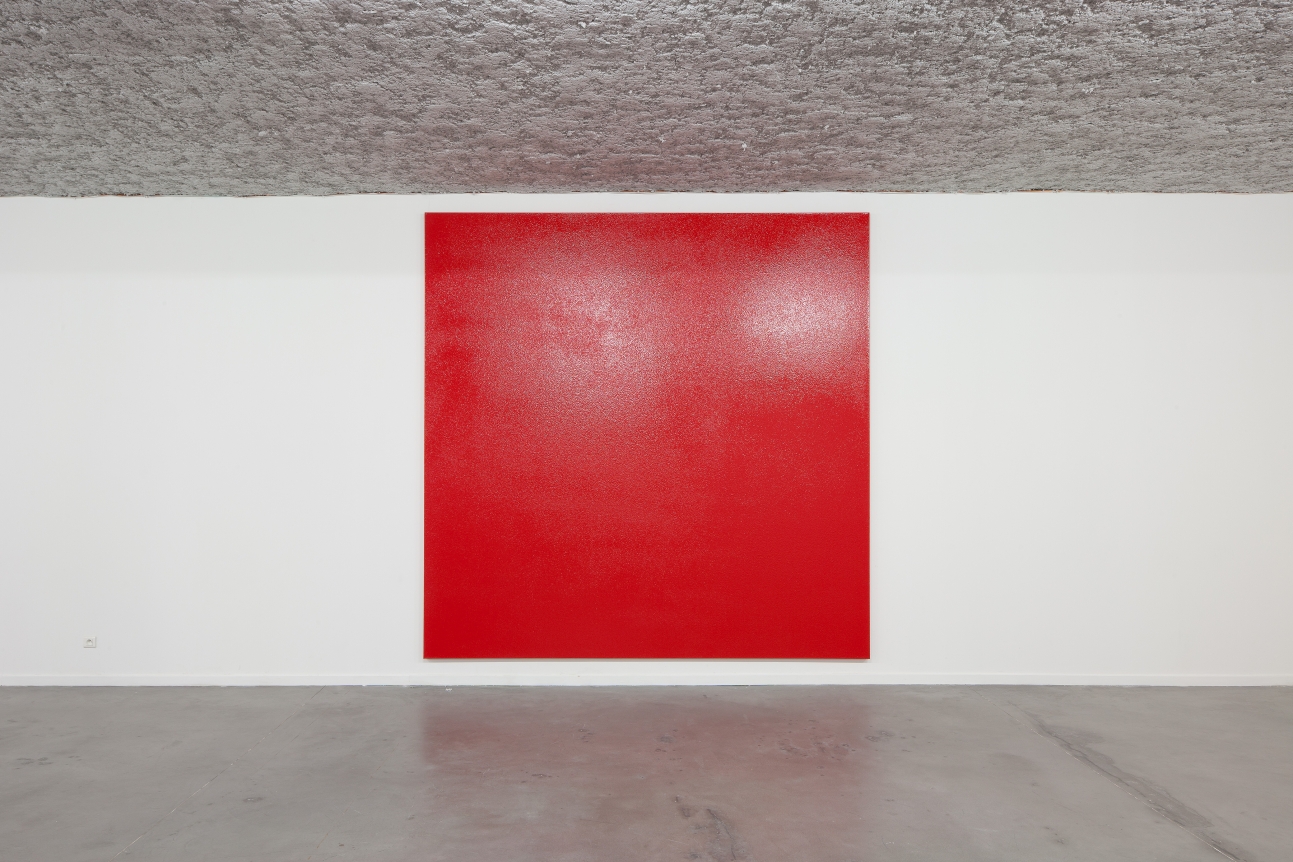 Olivier Mosset