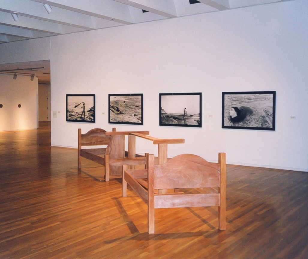 Amnesia, Christopher Grimes Gallery