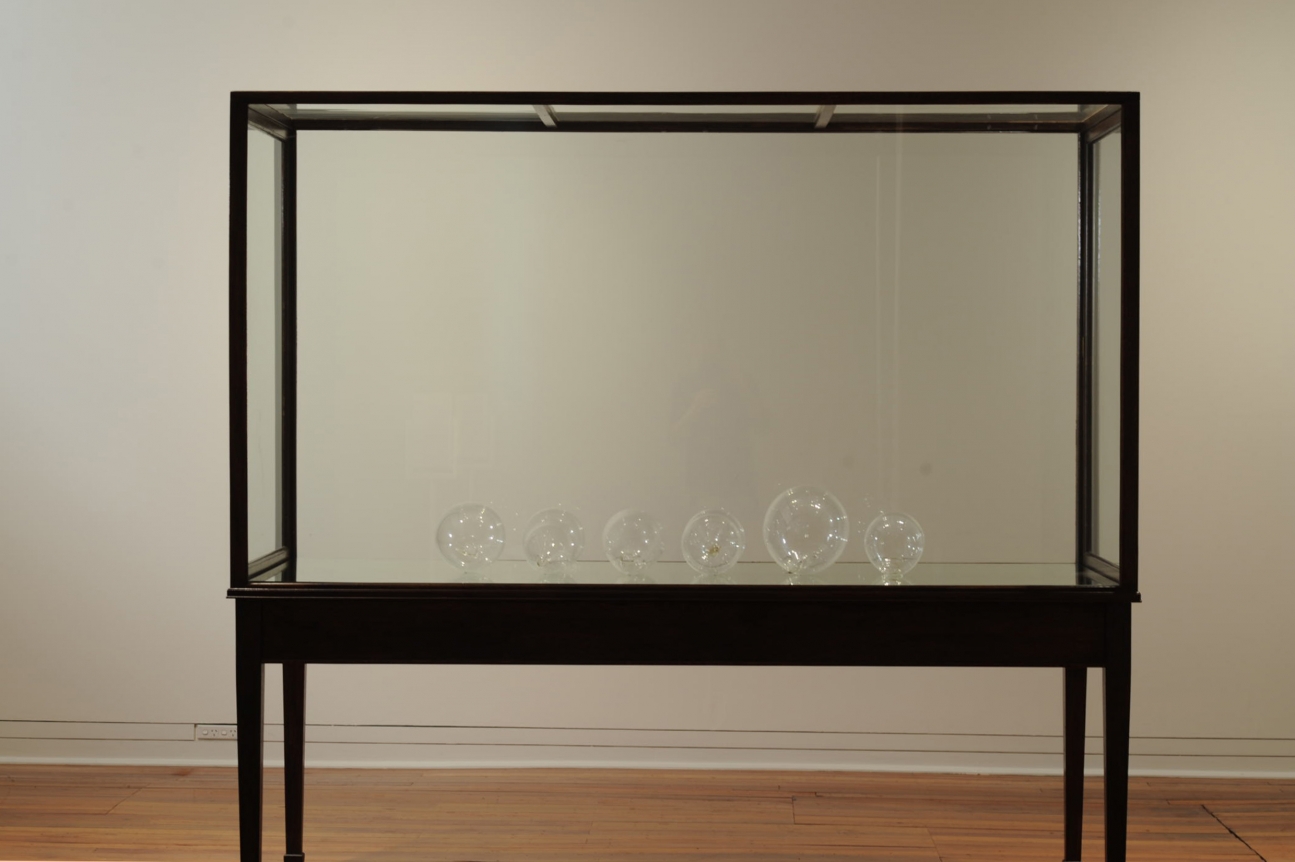 Dane Mitchell, Dunedin Public Art Gallery
