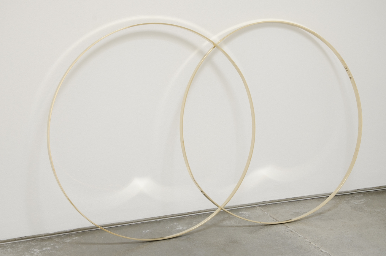 Dane Mitchell, Christopher Grimes Gallery