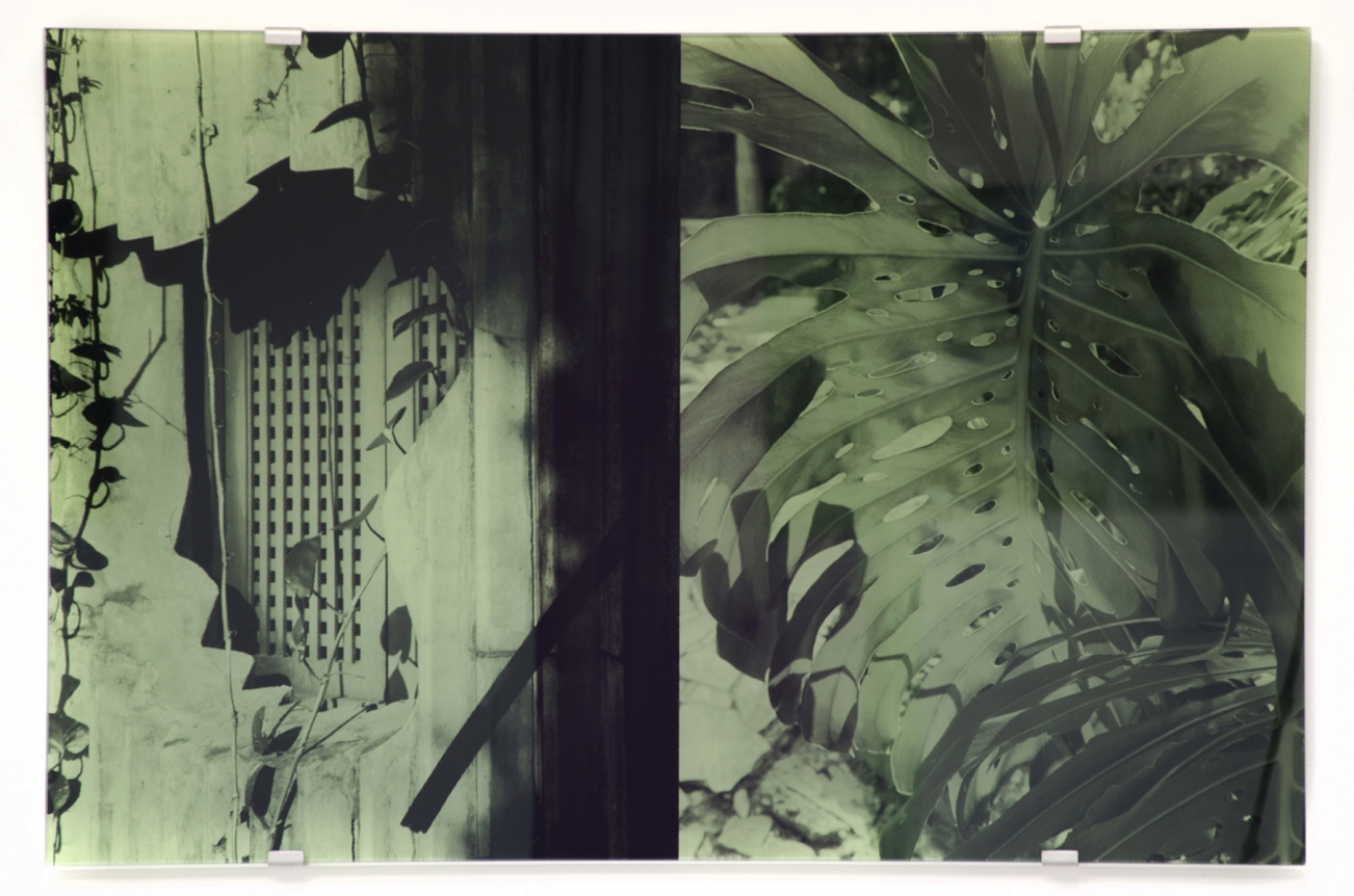 Ladeira da Misericórdia, Monstera Deliciosa, Veronika Kellndorfer, Christopher Grimes Gallery